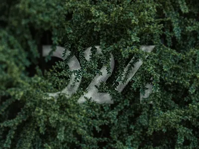 D24.ae adobe advertising branding creative nature photoshop plant