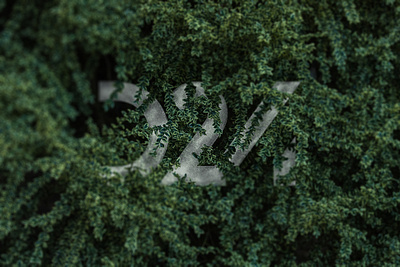 D24.ae adobe advertising branding creative nature photoshop plant