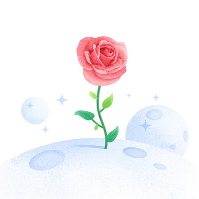 Le Petit Prince flower illustration illustrator rose