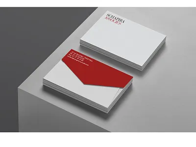 SCHAPIRA ASSOCIES law firm
