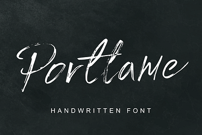 Portlame || Brush Font branding brush design graphic design illustration lettering logo typography vector web