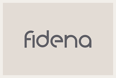 Fidena Family Font branding design fashion font hand lettered font lettering logo logotype script typography