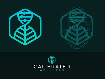 Calibrated Wellness Logo branding cbd cbd logo design icon illustration logo miami