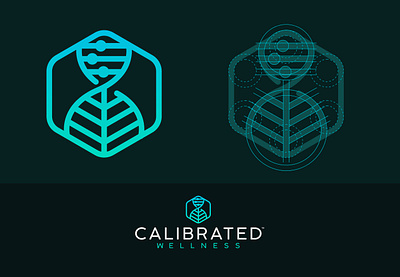 Calibrated Wellness Logo branding cbd cbd logo design icon illustration logo miami