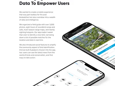 Postlight - Audubon Case Study audubon birds case study mobile mobile app nature portfolio ui ui design web design