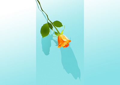 玫瑰 branding dribbleartist flower illustration