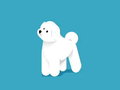 Bichon Frise animal illustration animals dog illustration illustrator