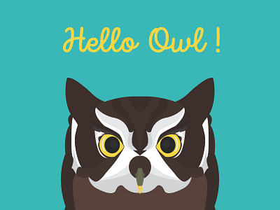 HELLO OWL ! animal art bird art design