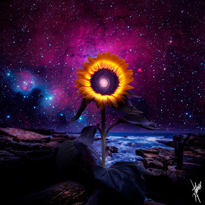 Sunflower collage collage art composition darkart photo manipulation photo montage photoshop psychedelic surreal art universe vintage visual art