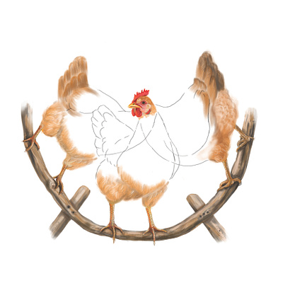 Omni-Chicken animal art chicken icon illustration