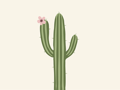 Cactus abstract adobe adobe illustrator aesthetic aesthetics cacti cactus desert design flower illustration leaves pink plant