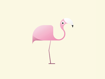 Flamingo aminals birds childrens book illustration childrens illustration flame flamingo flamingos flat flying flying bird illustration illustrator pink vector yellow