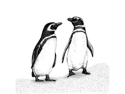 Love(birds) Penguins Illustration - Detail animal animal art animal illustration art artwork black and white childrens illustration design digital art digital drawing drawing gobsart illustration penguin penguins printing winter animals