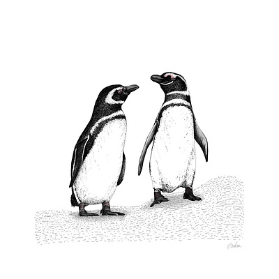 Love(birds) Penguins Illustration - Detail animal animal art animal illustration art artwork black and white childrens illustration design digital art digital drawing drawing gobsart illustration penguin penguins printing winter animals