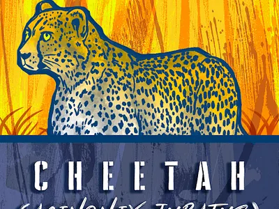 Cheetah (Acinonix Jubatus) ad agency adobe photoshop animal branding design graphic illustration typogaphy wildlife art