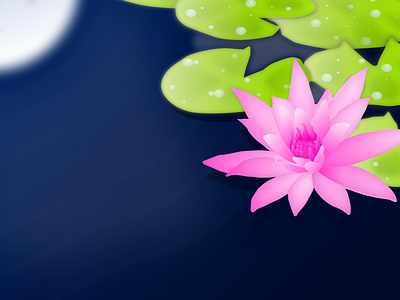 Lotus Illustration flowers illustration art illustrator lotus