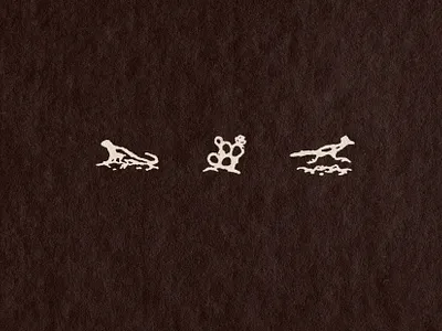 Oasis Brand Elements brand design brand elements brand identity desert hand drawn icon design illustration logo design procreate texture