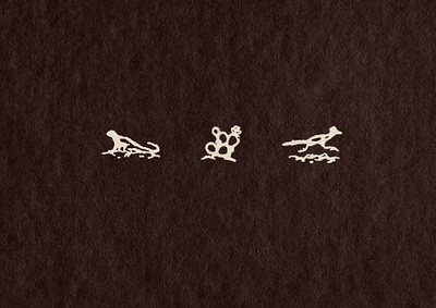 Oasis Brand Elements brand design brand elements brand identity desert hand drawn icon design illustration logo design procreate texture