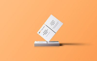 business card brandbook branding business card businesscard design icon logo mockup typography visual identity