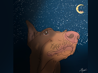 Dreaming dog design fresco illustration procreate