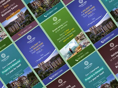 Chester Hills - Campaign Design advertisement advertising social media ui ui design ux web design webdesign website design