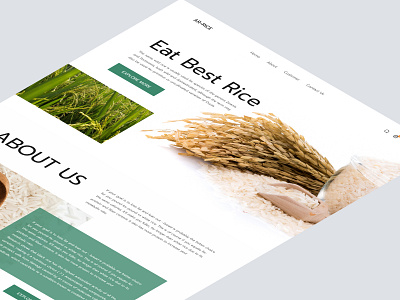 Rice Landing Page design homepage interface landing landing page web web design website