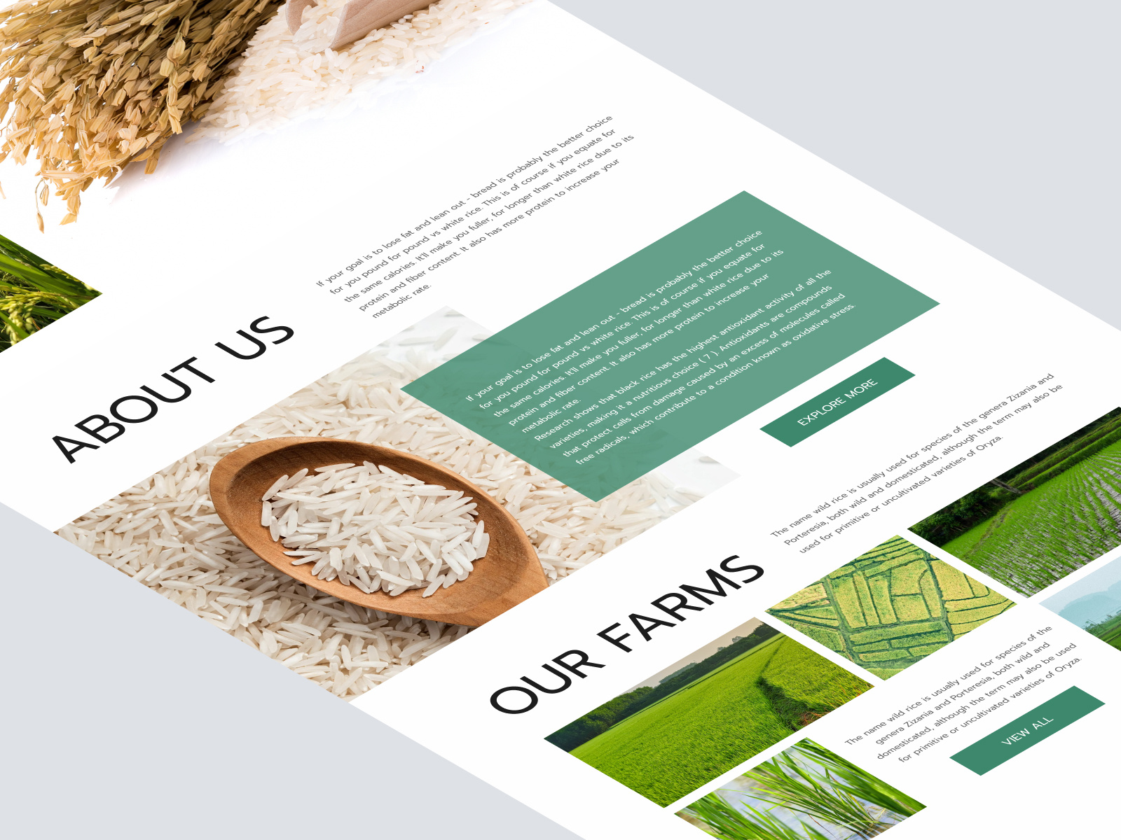 Rice Landing Page by Mike Taylor on Dribbble