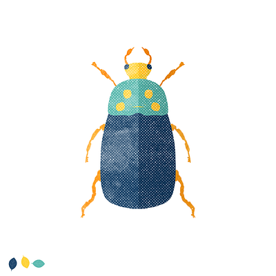 Beetle beetle