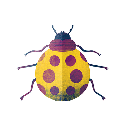 Ladybug