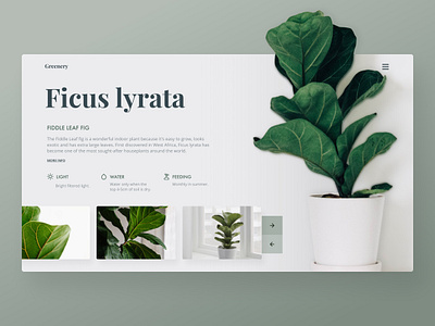 Greenery - plant care clean ui design green green ui greenery landing page minimal plant plant care plant landing page plant ui style ui ui design web web design website