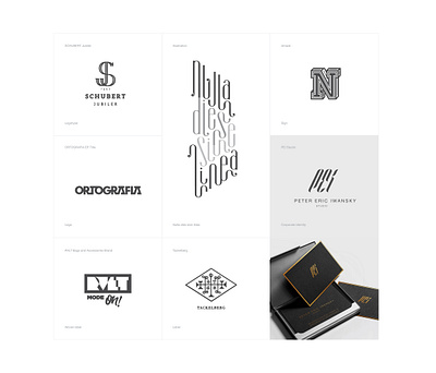 Branding branding design illustration logo logotype product design typography vector