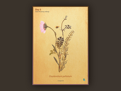 Poster challenge day 5 adobe photoshop dailychallenge flowers flowers illustration graphic graphicdesign illustraion old photoshop plants poster a day poster art poster design posters retro