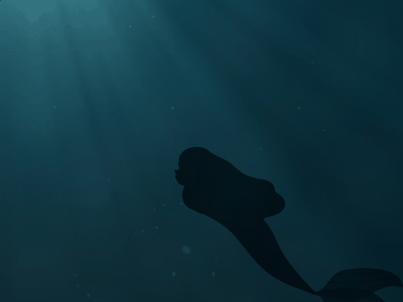 Mermaid 2d after affects after effects animaiton animation character illustration mermaid motion motion graphic rigging underwater