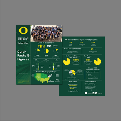 2019 Admissions Infographic branding design illustrator