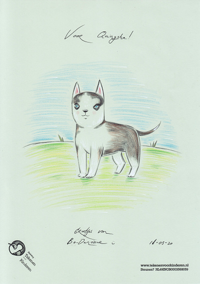 dog animal blue eyes bo danique bodanique dog dog illustration drawing pencil