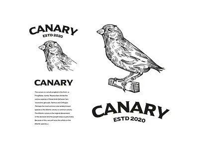 Canary illustration / Logo adobe adobe illustrator art artist artwork branding branding design design design art designer designs identity design identity designer illsutration illustration art illustrations logo logo design logodesign logos
