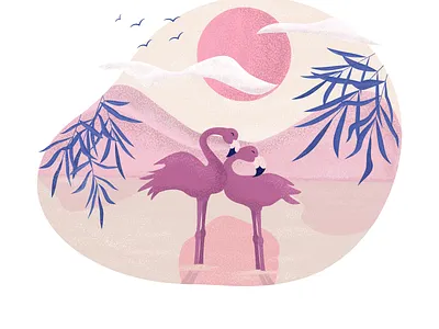 Flamingos animal birds cute flamingos illustration love pink sunset water