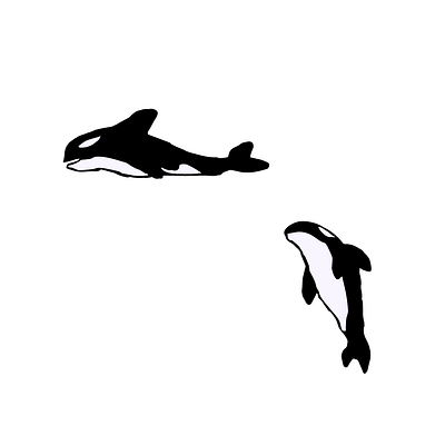 ORCAS animales design dibujo dibujodigital ilustrator orca vector