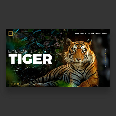 Web UI Inspiration - N. 1 - Save Tigers art branding design hero image hero section illustration inspiration landing landing page logo minimal typography ui uiux uiuxweb uiwebdesign ux webinspiration webpage website