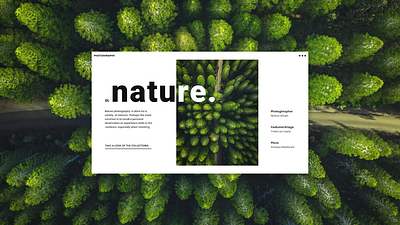 Nature Photography design flat minimal nature simple design ui
