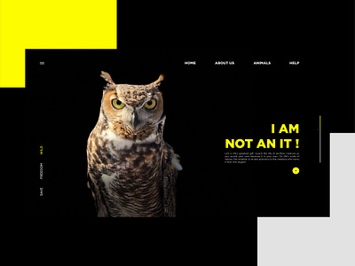 ACT--NOW animals branding concept danger design dribbble earth extinct extinction forest minimal nature save save animals ui ux webdesign website wild wildlife