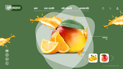 Fruit Web Ui Design ui designs web ui