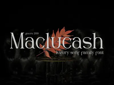 Maclucash Font design font bundle font design fonts fonts collection lettering logo font retro font typeface typography