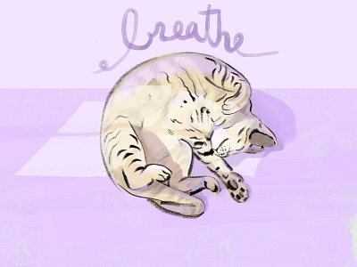 Design for Calm artboard basecamp breathe calm calming cat challenge composition illustration illustration art in lazy eight manage organize relax relaxed shadow sleepy sunbathing window