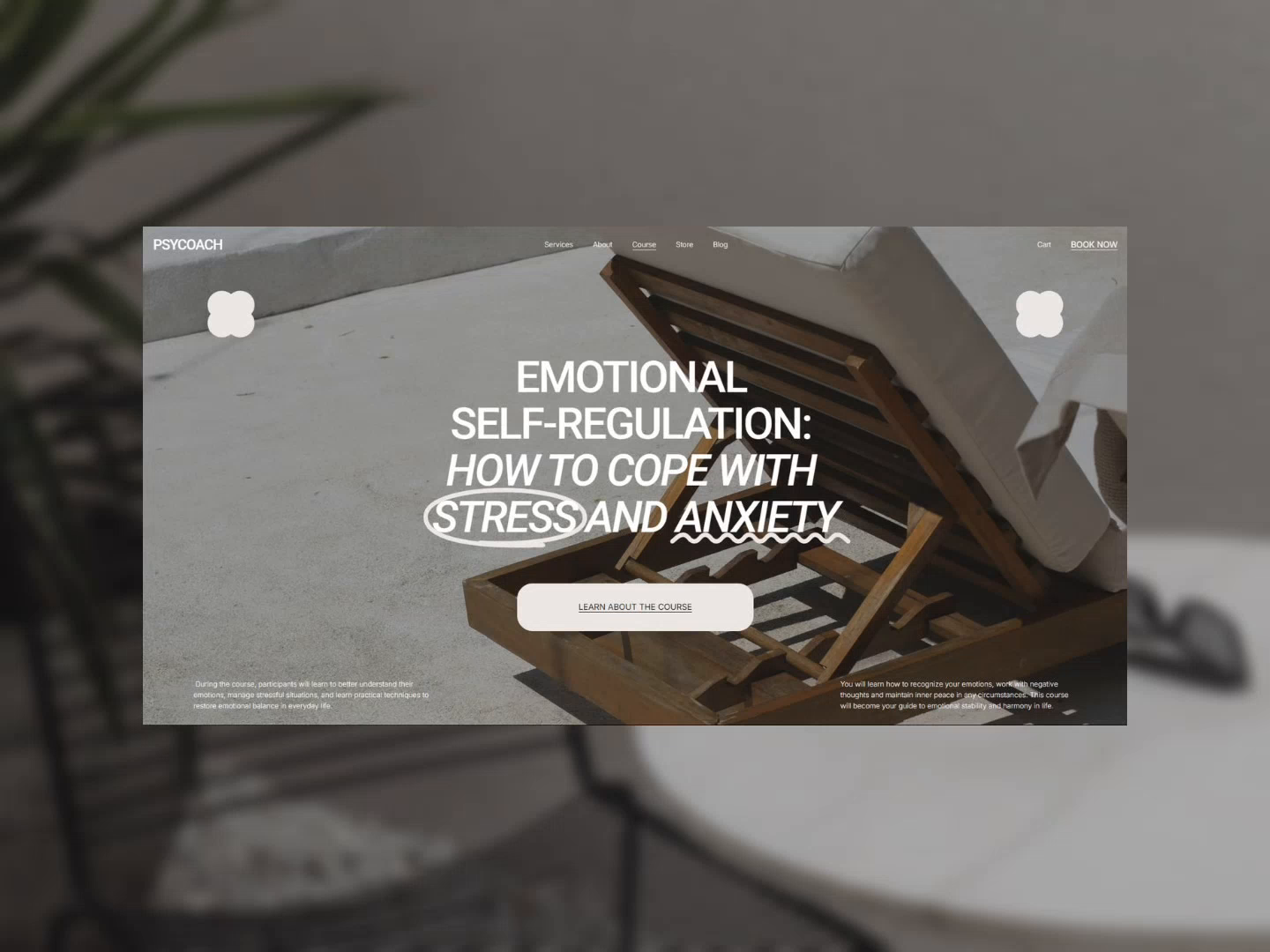 Example of Custom Squarespace Website Design/Build