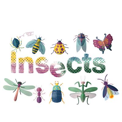 Insects