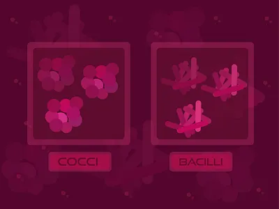 Types Of Bacteria | Bacteria awareness video animation creative design flat hot illustration illustrator vector