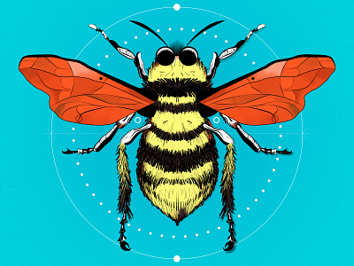 🐝Bee on me adobe animals illustrated digital art illustration art illustrator palette photoshop procreate procreateapp