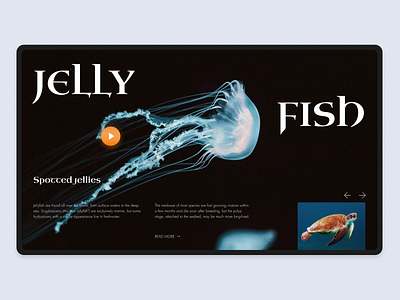 Underwater World Encyclopedia design designline grid jellyfish minimal ocean typography ui ux web website