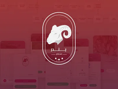 BNDR Application app design illustration ui ux vector web website